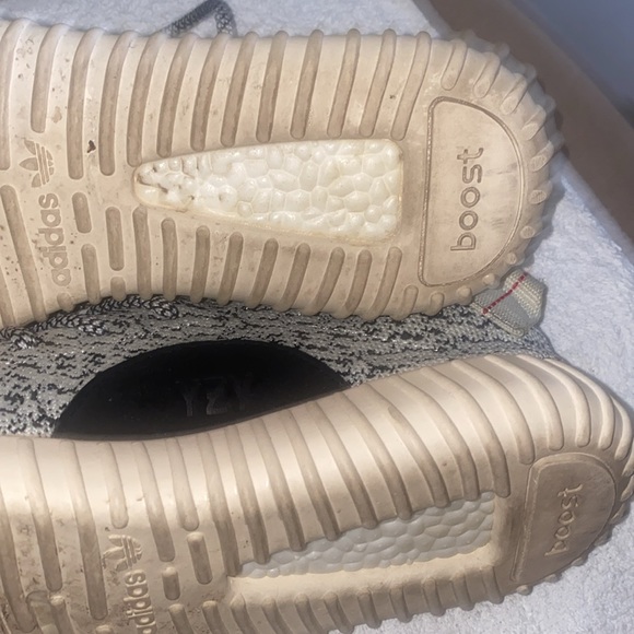 Yeezy Turtle Dove - Picture 11 of 11